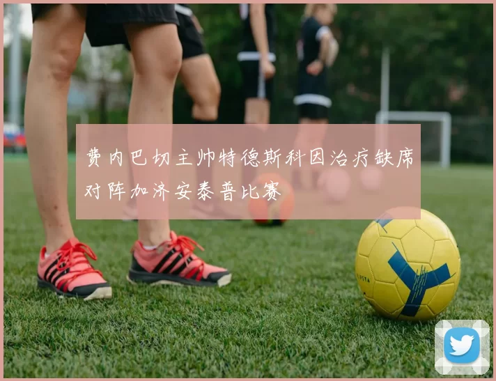 费内巴切主帅特德斯科因治疗缺席对阵加济安泰普比赛