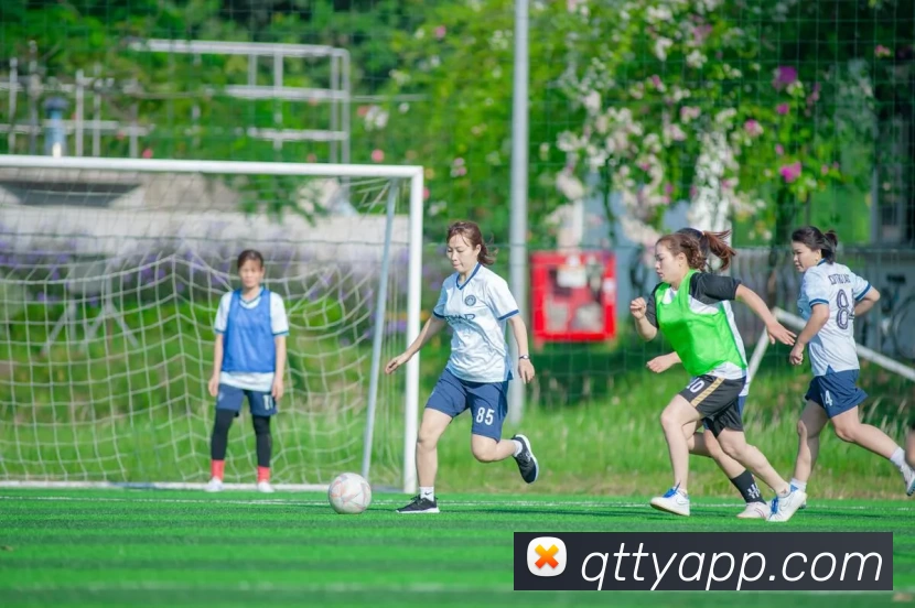 球探体育APP平台生态图