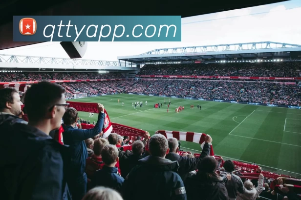 球探体育APPAPP 封面图